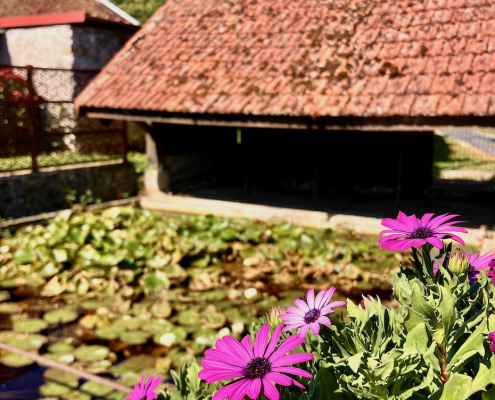 Le Crocq Villeneuve la Lionne Lavoir
