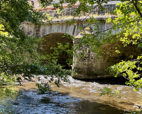 Villeneuve-sur-Bellot⁩ Pont Morin