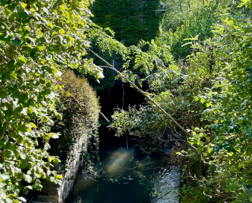 ⁨Vendières⁩ – Moulin de l&rsquo;Oie (1)