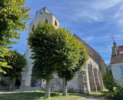 ⁨Verdelot⁩ – Eglise avec un arbre