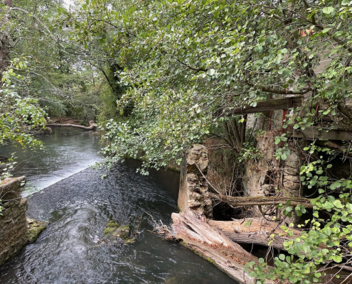 ⁨Villeneuve-sur-Bellot⁩ – Moulin de Nebourg