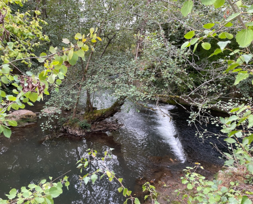 ⁨Villeneuve-sur-Bellot⁩ – Moulin de Nebourg